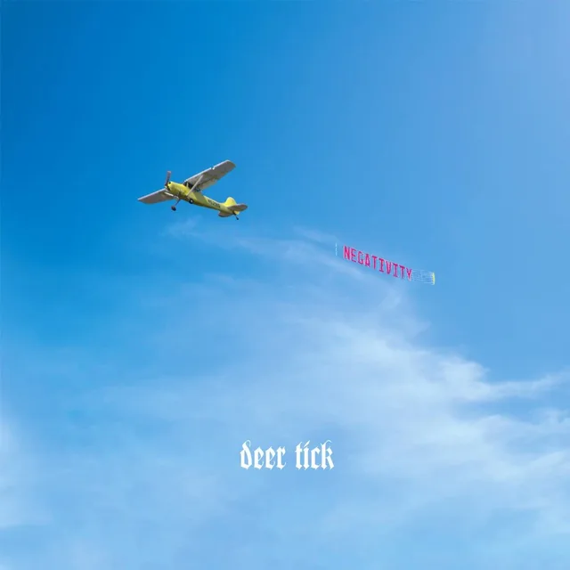 Deer Tick Negativity (2LP) 