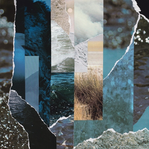 Cremation Lily Dreams Drenched In Static (LP) 