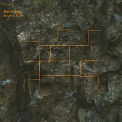 Martin Taxt Second Room (LP)