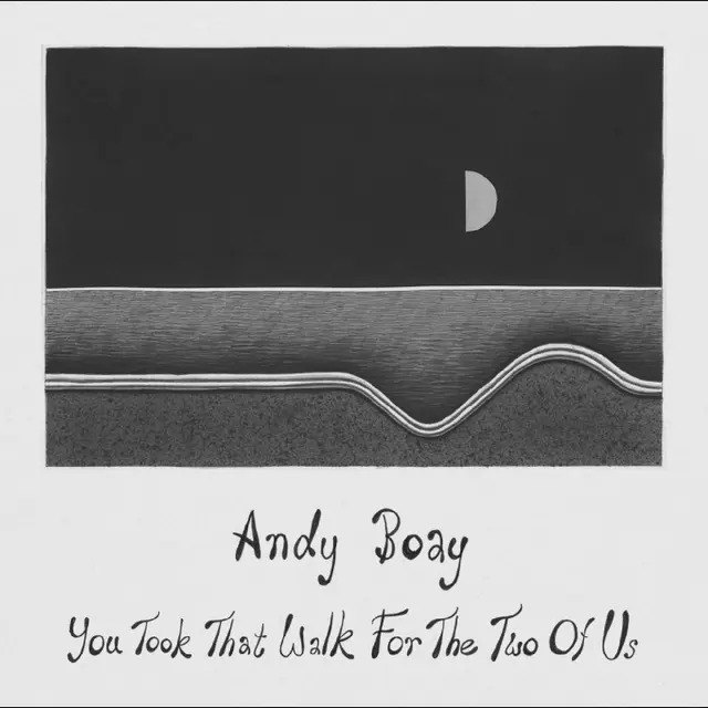 Andy Boay You Took That Walk For The Two Of… (LP) 