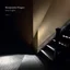 Benjamin Finger Into Light (LP)