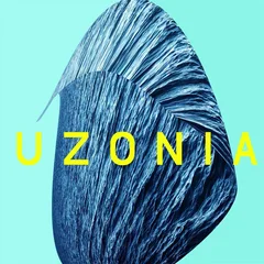Matthew Collings Uzonia - LTD (LP)