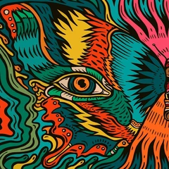 The Tronosonic Experience Shadow Vol. 1 (LP)