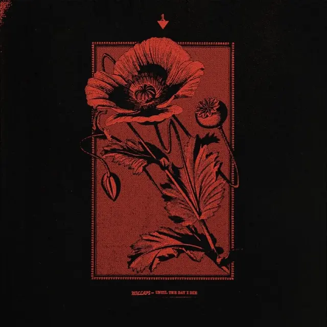 Kollaps Until The Day I Die (CD) 