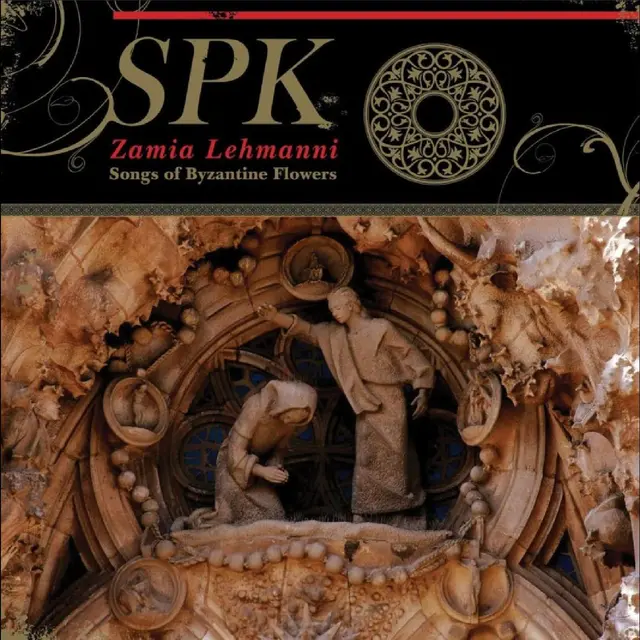 SPK Zamia Lehmanni (LP) 