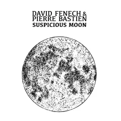 David Fenech &amp; Pierre Bastien Suspicious Moon (LP)