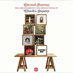Diverse Artister Eternal Journey - The Arrangements… (CD)