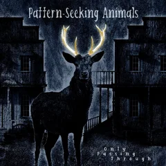 Pattern-Seeking Animals Only Passing Through - LTD (CD)
