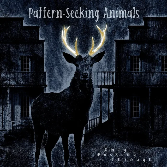 Pattern-Seeking Animals Only Passing Through - LTD (CD) 