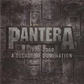 Pantera 1990-2000: A Decade Of Domination (2LP)
