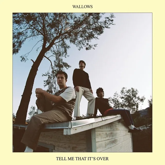 Wallows Tell Me That It s Over (CD) 