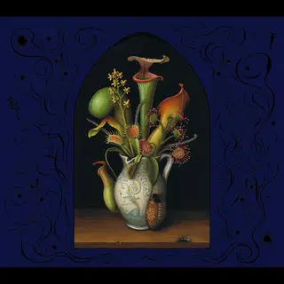 John Zorn Perchance To Dream (CD)