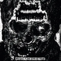 Bestial Putrefaction Eternal Flesh Ripping Chaos (MC)