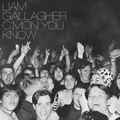 Liam Gallagher C'Mon You Know (LP)