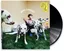 Rex Orange County Who Cares? (2LP)