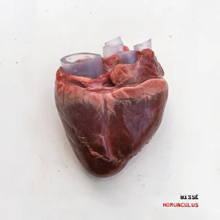 Bisse Homunculus (2LP)
