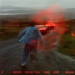 Soak If I Never Know You Like… - LTD (LP)