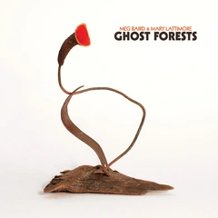 Meg Baird &amp; Mary Lattimore Ghost Forests - LTD (LP)