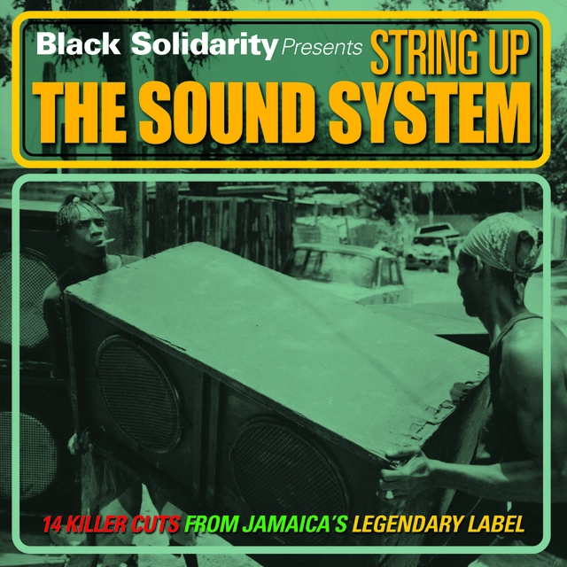 Diverse Artister Black Solidarity Presents String Up…(LP) 