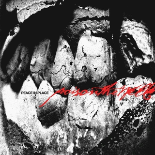 Poison The Well Peace In Place - LTD (LP)