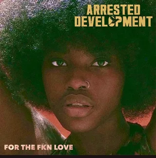 Arrested Development For The FKN Love (2LP)