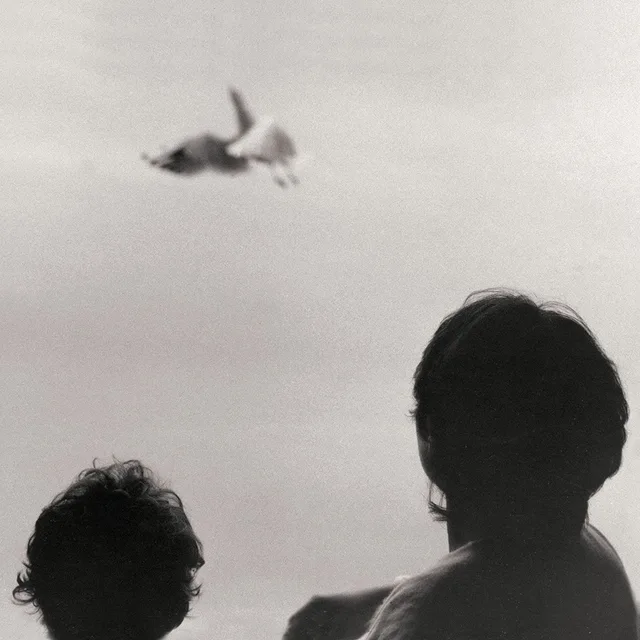 Federico Albanese Before And Now Seems Infinite (LP) 