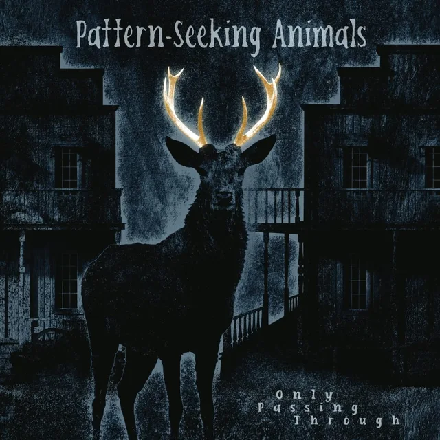 Pattern-Seeking Animals Only Passing Through - LTD (2LP+CD) 