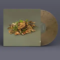 Fergus McCreadie Forest Floor (LP)