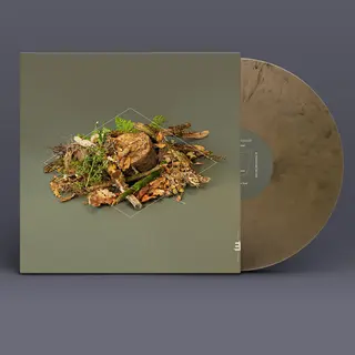Fergus McCreadie Forest Floor (LP)