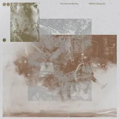 The Vernon Spring What's Going On (LP)