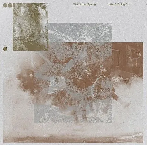 The Vernon Spring What's Going On (LP) 