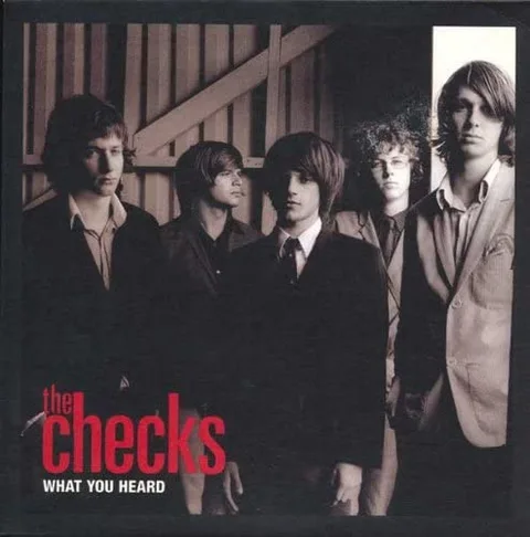The Checks What You Heard (7") 