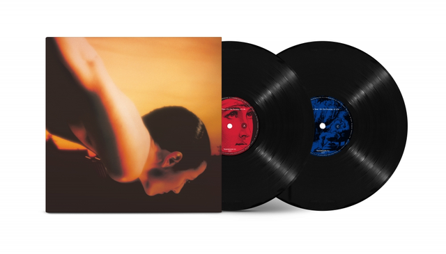 Porcupine Tree On The Sunday Of Life (2LP) 