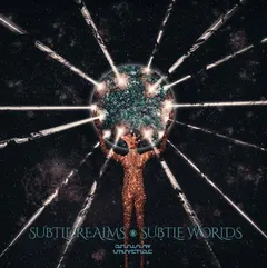 Shadow Universe Subtle Realms Subtle Worlds (LP)