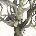 Destroyer Labyrinthitis - LTD (LP)