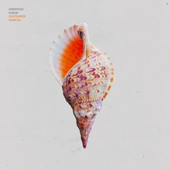 Christian Hjelm Idiotsikker Manual (LP)