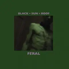 Black Sun Roof Feral (LP)