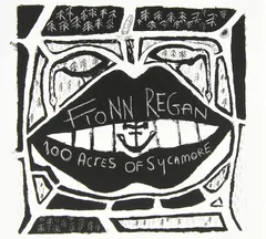 Fionn Regan 100 Acres Of Sycamore (LP)