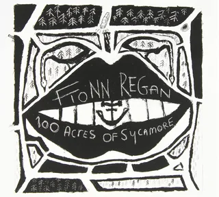 Fionn Regan 100 Acres Of Sycamore (LP)