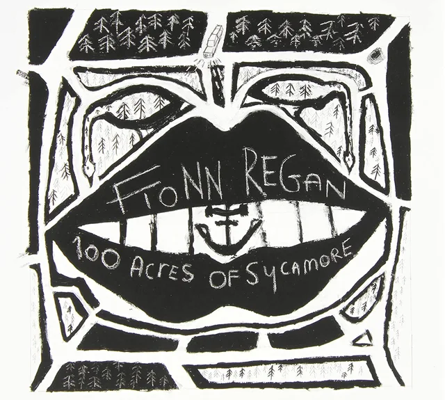 Fionn Regan 100 Acres Of Sycamore (LP) 