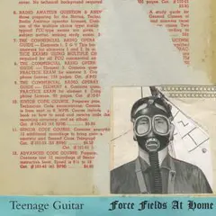 Teenage Guitar Force Fields At Home (LP)
