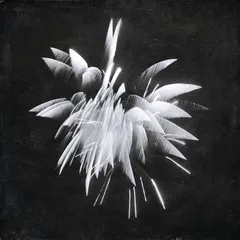 Brent Windler New Morning Howl (LP)