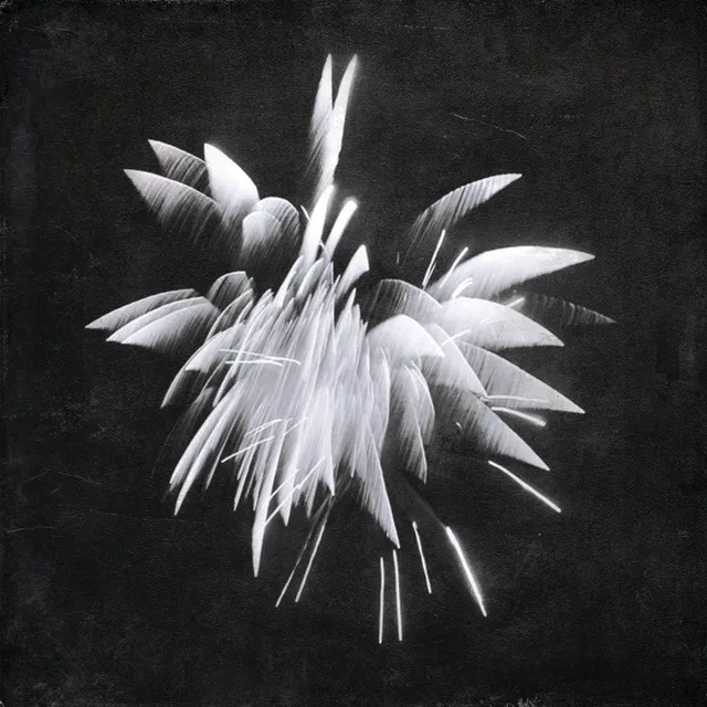 Brent Windler New Morning Howl (LP) 