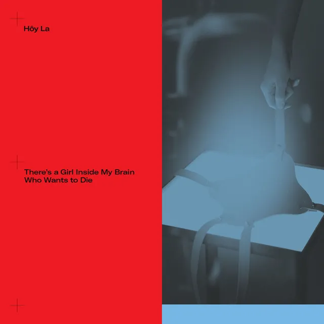 Hôy La There's a Girl Inside My Brain Who… (LP) 