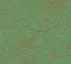 John Zorn A Garden Of Forking Paths (CD)