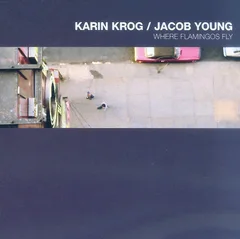 Karin Krog &amp; Jacob Young Where Flamingos Fly (CD)