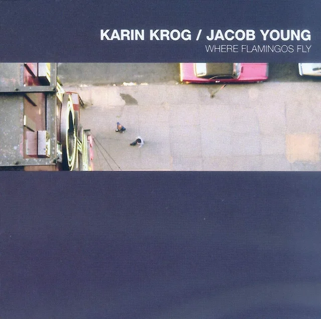 Karin Krog & Jacob Young Where Flamingos Fly (CD) 