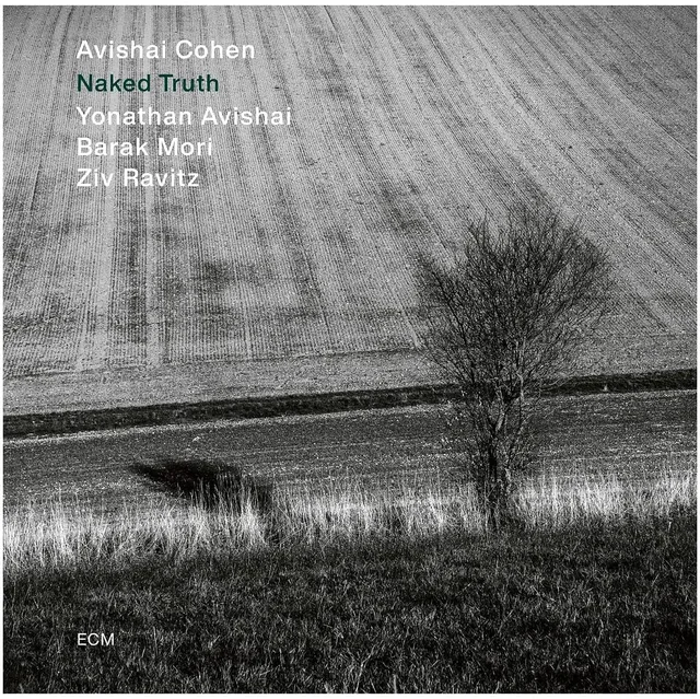 Avishai Cohen Naked Truth (CD) 