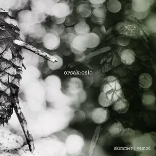Orsak:Oslo Skimmer / Vemod (LP)