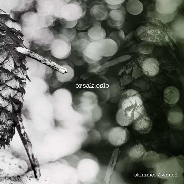 Orsak:Oslo Skimmer / Vemod (LP) 